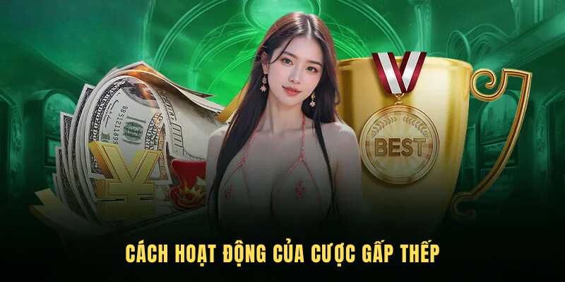 Cách sử dụng cược gấp thếp